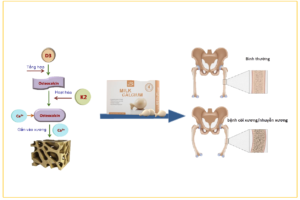 Canxi milk calcium Bio Island 
